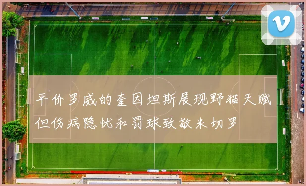 平价罗威的奎因坦斯展现野猫天赋但伤病隐忧和罚球致敬米切罗